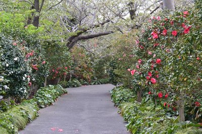 🏞️ 도쿄 도립 오오시마 공원